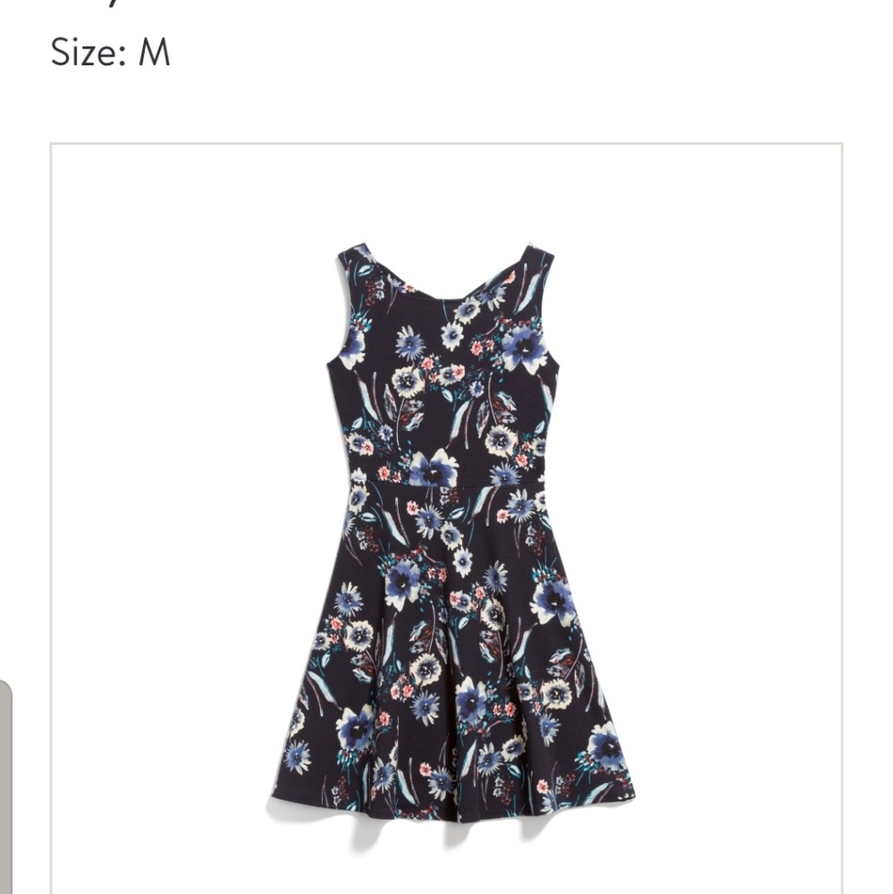 Stitch Fix Kaileigh Feya Knit Dress
